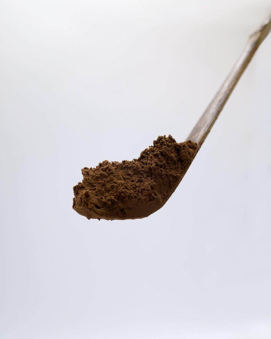 HOJICHA