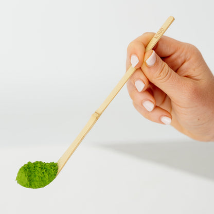 CHASHAKU Cuchara de bambú